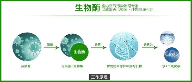 光觸媒、生物酶除甲醛【佛山】